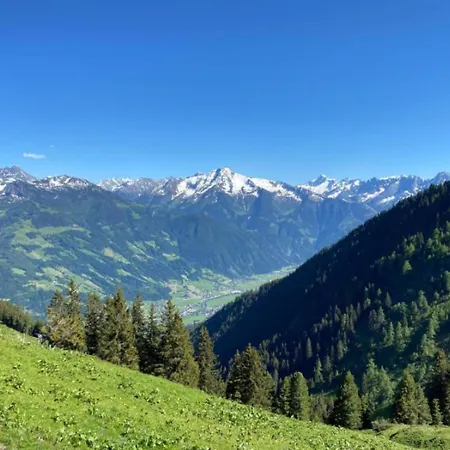 Unique Large Alpine Pasture In The Middle Of The Zillertal Mountains *