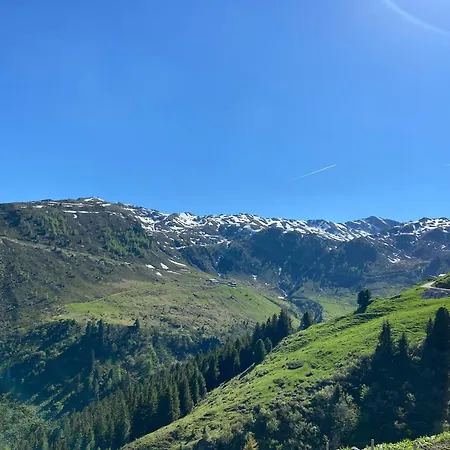 Unique Large Alpine Pasture In The Middle Of The Zillertal Mountains *